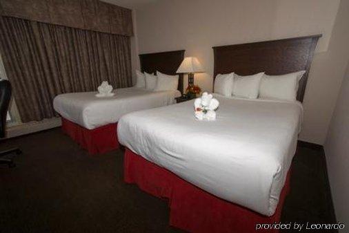 Quality & Hotel