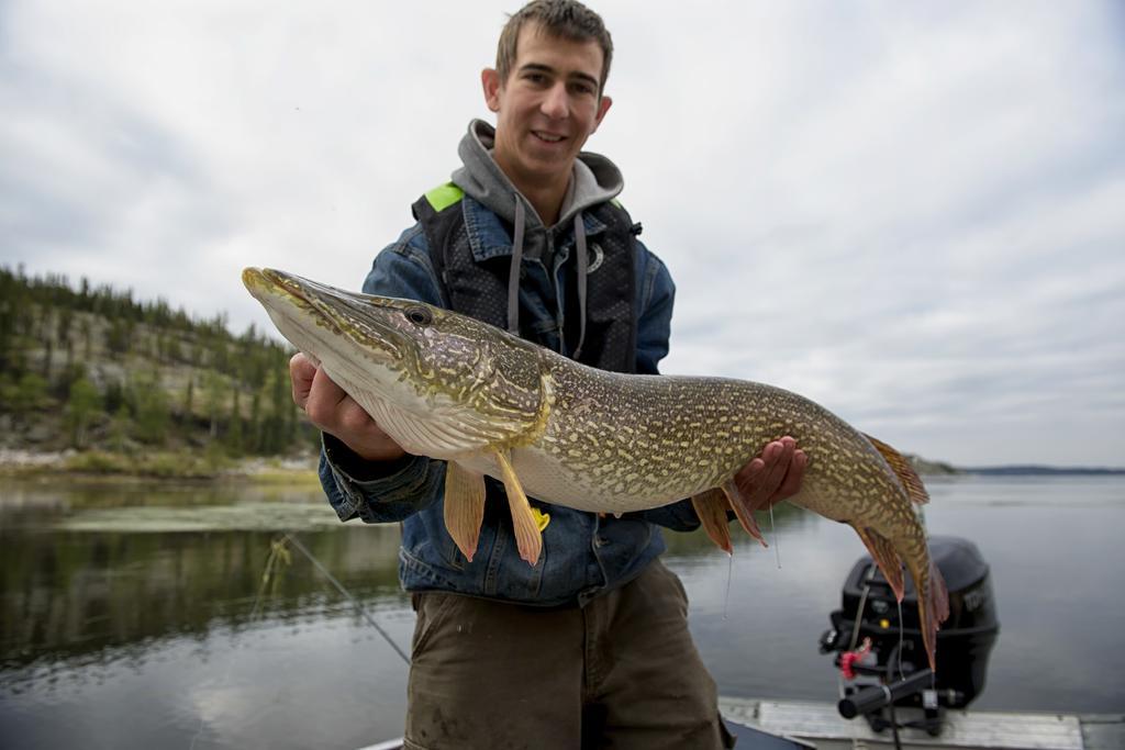 Yellow Dog Lodge, Inc. * Yellowknife