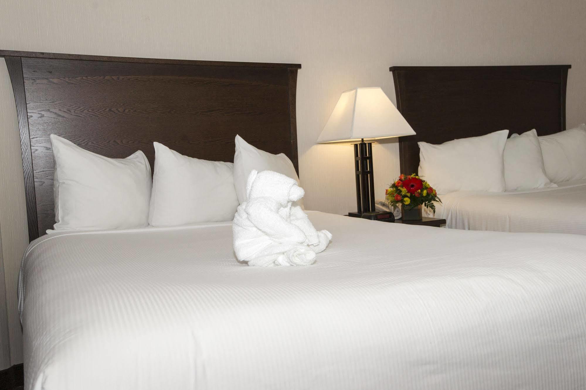 Quality & 3* Yellowknife