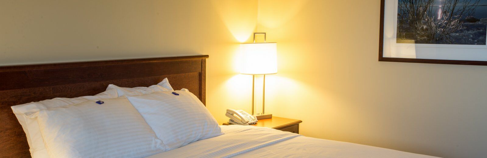 Hotel The Explorer 4*