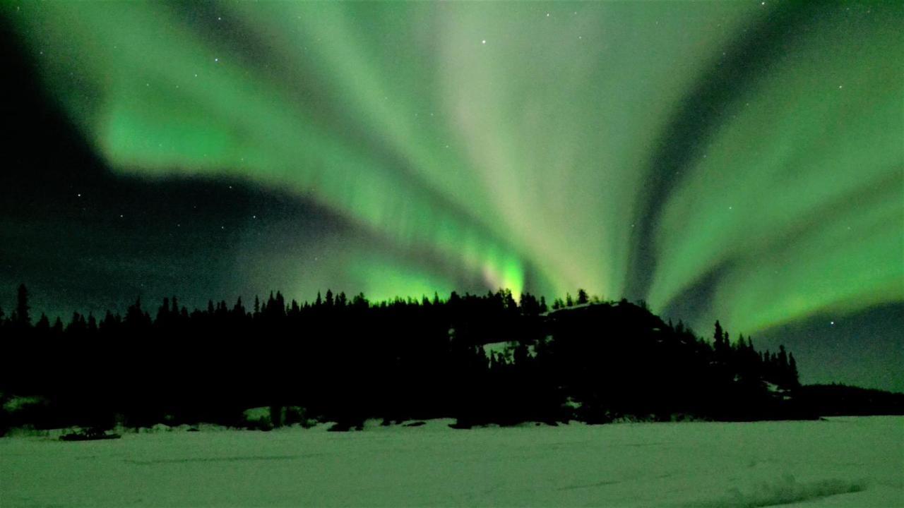 Lodge Yellow Dog Lodge, Inc. Yellowknife