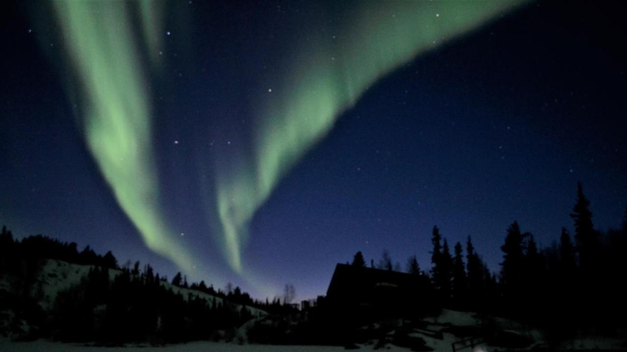 Lodge Yellow Dog Lodge, Inc. Yellowknife